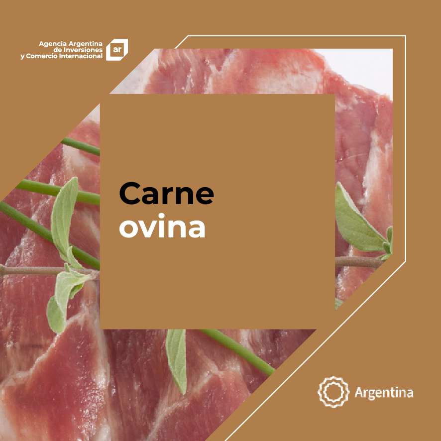 http://aaici.org.ar/images/publicaciones/Oferta exportable argentina: Carne ovina