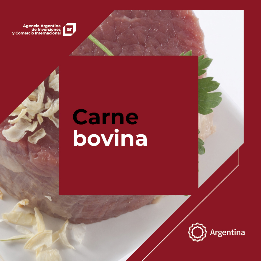 https://aaici.org.ar/images/publicaciones/Oferta exportable argentina: Carne bovina